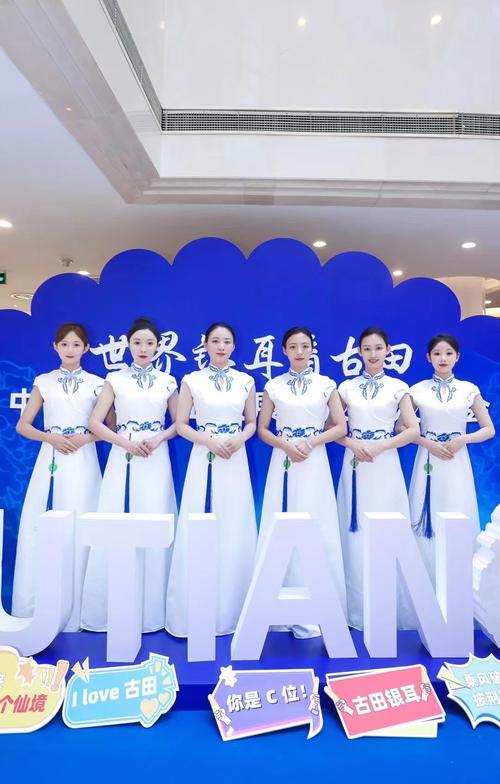 礼仪庆典服务全攻略 从主持人到摄影摄像，打造完美活动
